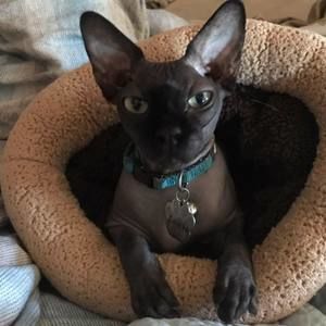 Meet your Posher, Christine